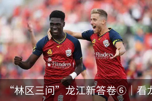 “林区三问”龙江新答卷⑥｜看龙江林区以文化之魂厚植转型之基